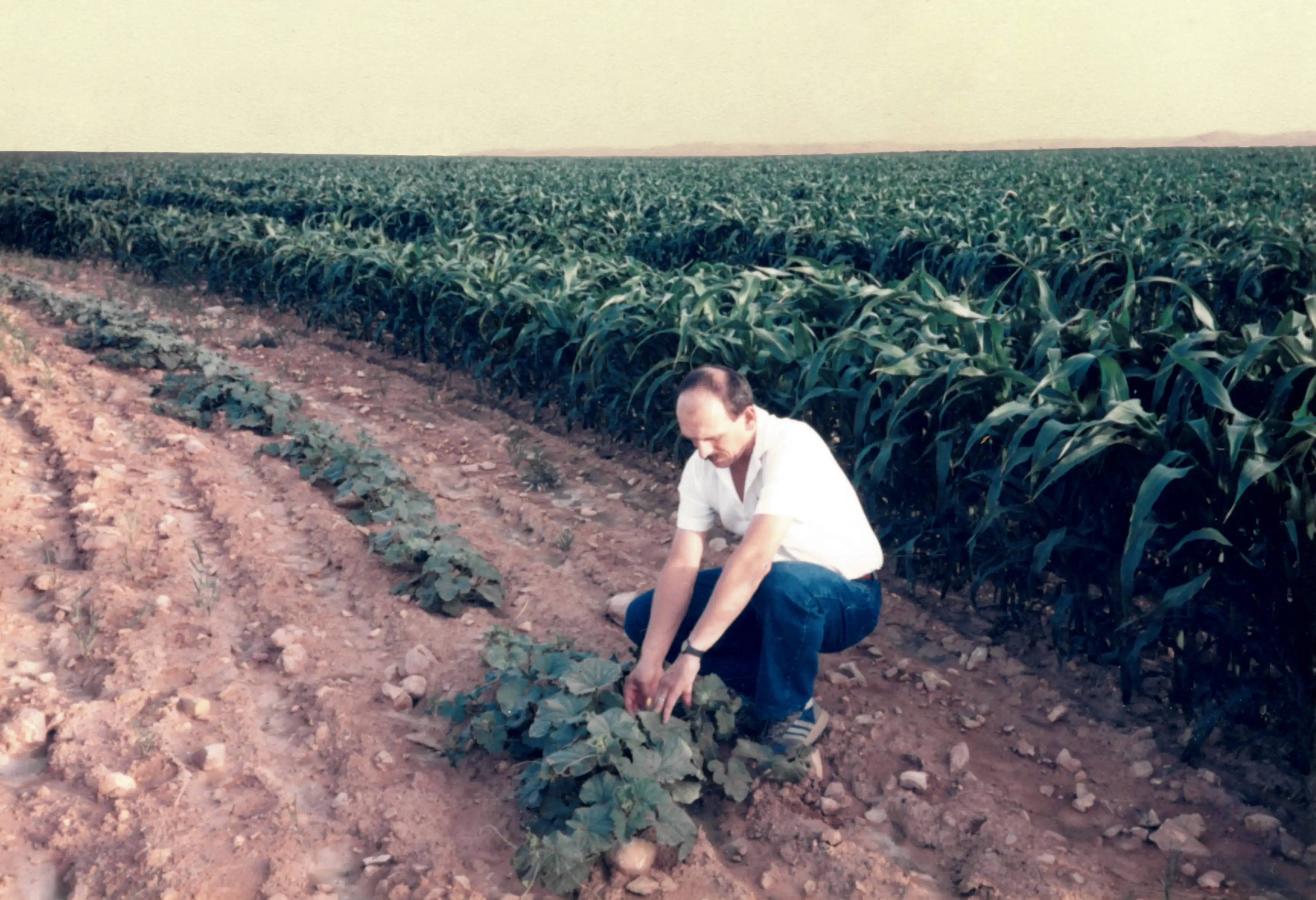 Jean-Louis Forgeard, notre fondateur, dans le désert d’Arabie saoudite