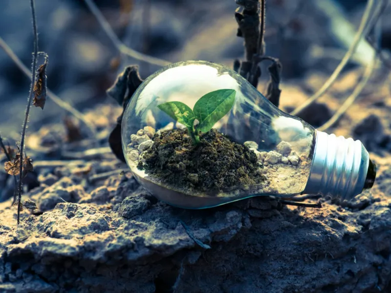 A small green plant growing inside a light bulb filled with soil and pebbles, placed on dry, cracked earth with dead twigs around, symbolizing sustainability and environmental conservation.