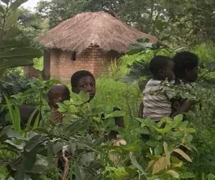 Kids in zambia expert farmer site assessment