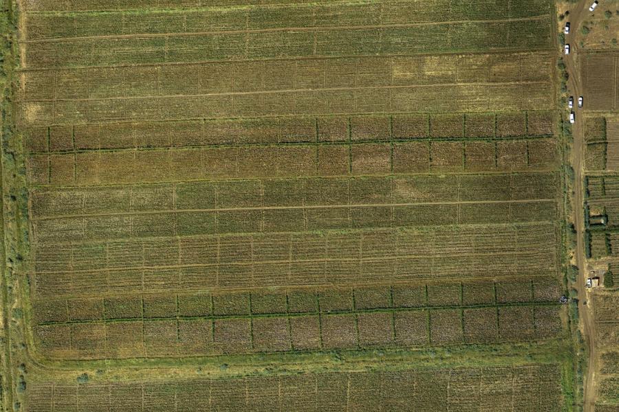 Gezira – Orthophoto par drone