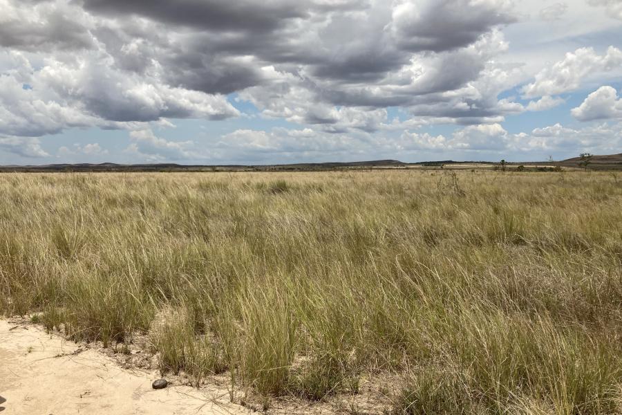 Madagascar - Sugarcane assessment - Landscape