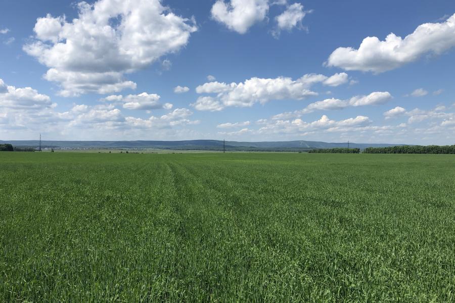 Russia - 03 - Landscape